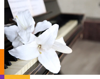 Planes Funerarios Imágen relacionada a Planes Funerarios